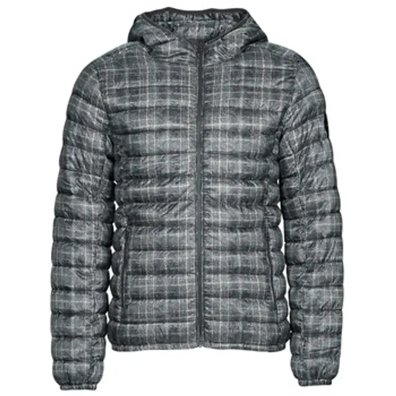 Piumino Teddy Smith BLIGHTER