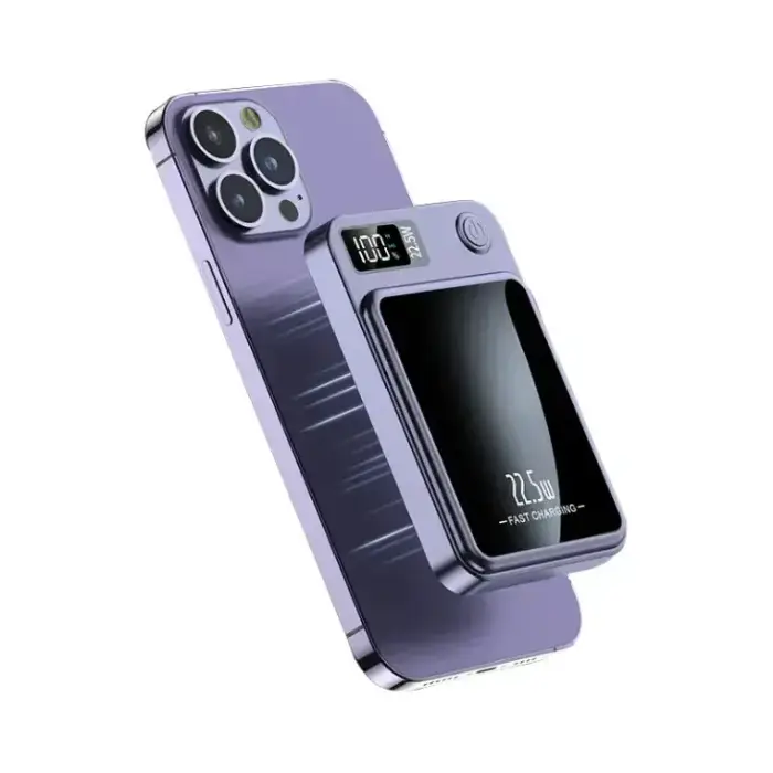Platyne Batteria esterna con schermo led Violet