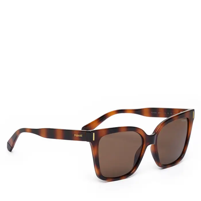Polaroid Occhiali da sole C PLD 6192/S Marrone