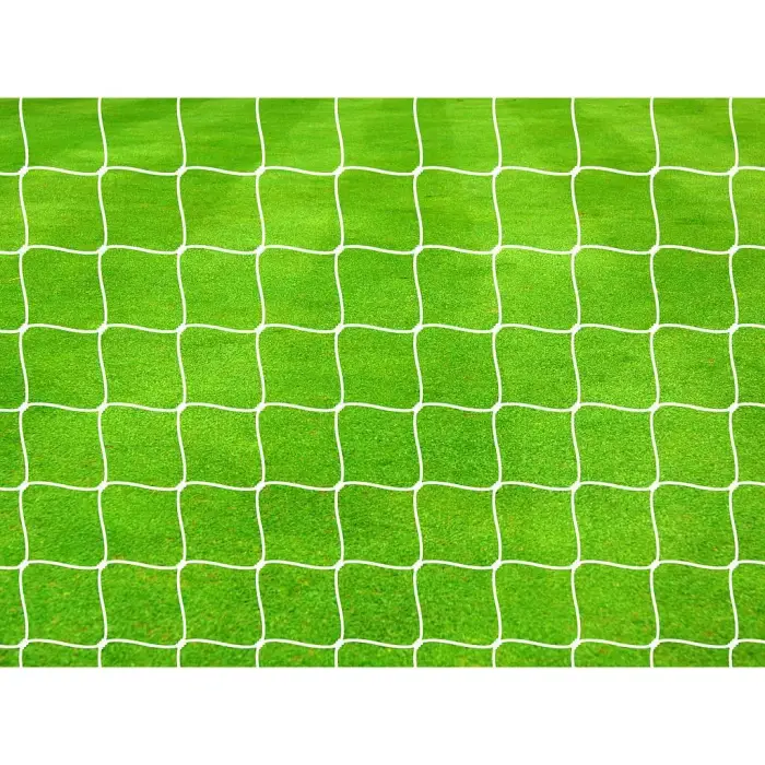 Precision Rete da calcio per la porta Pro (x2) Blanc