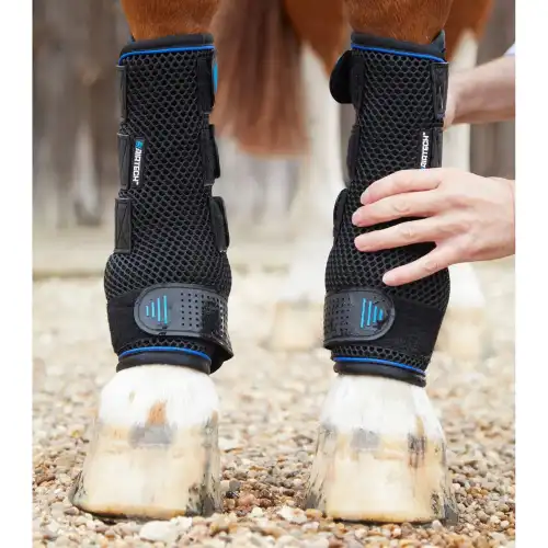 Premier Equine Stinchiere per cavallo a compressione per acqua fredda