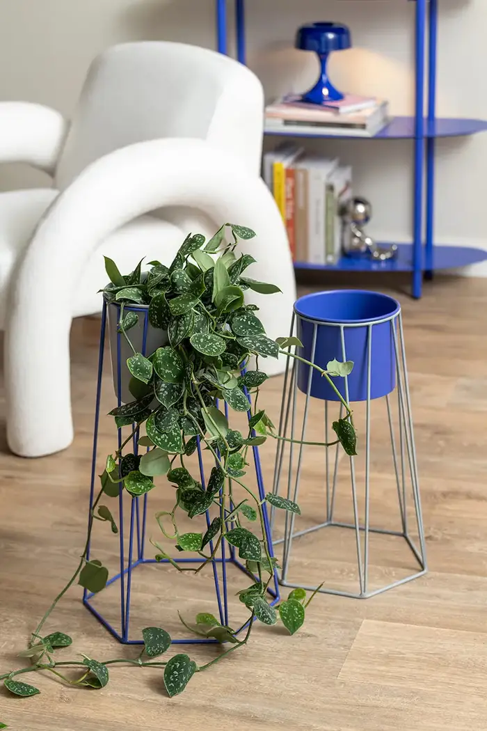 set di coprivasi con supporto in ferro Multicolore miniatura 3