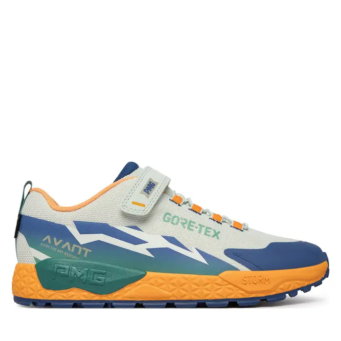 Primigi Sneakers AVANT Gtx 1431033 D Grigio
