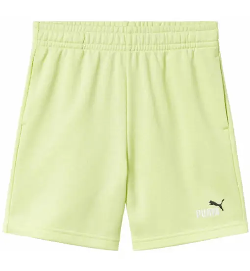 Puma Essential 2 color Jr - pantaloni fitness - ragazzo Green