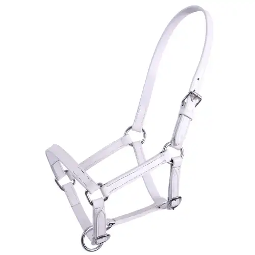 Q-essentials Bocca per puledro in pelle Chico