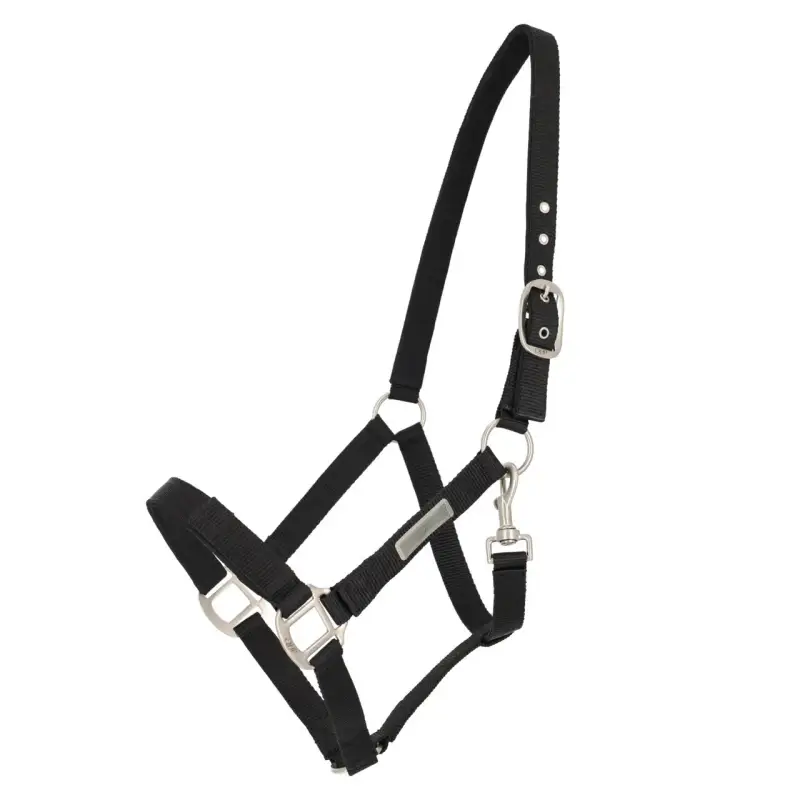 QHP Capestro per cavallo