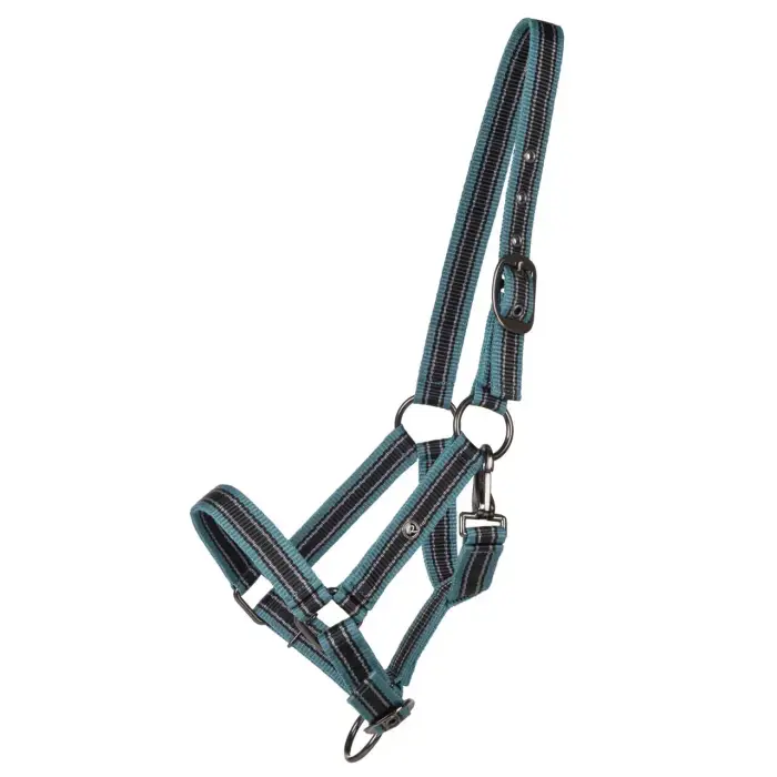 QHP Collare per puledro collezione per cavallo