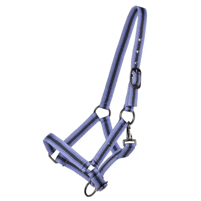QHP Collare per puledro collezione per cavallo