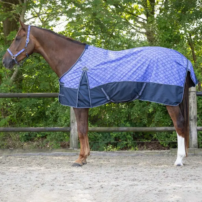 QHP Coperta impermeabile per cavallo collezione 0 g