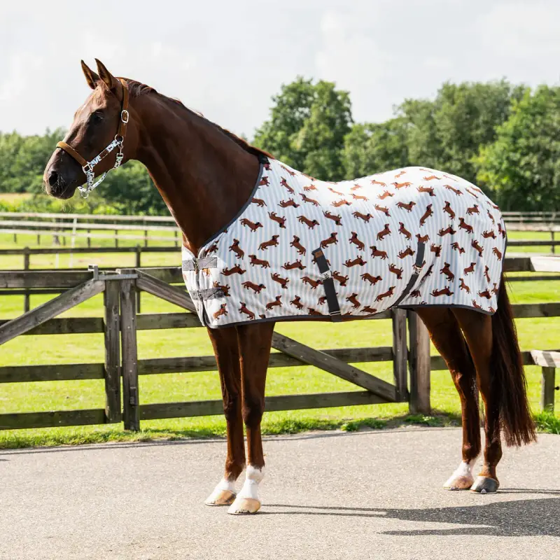 QHP Coperta in pile per cavalli Stable Buddy
