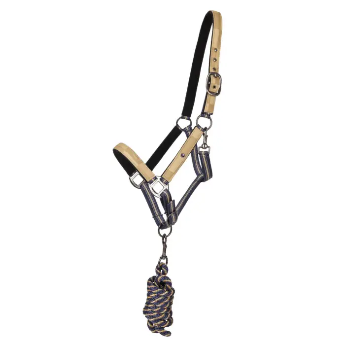 QHP Duo sottosella e longe per cavallo