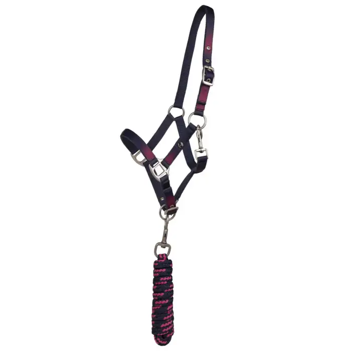QHP Duo testiera e longe per cavallo Jaily