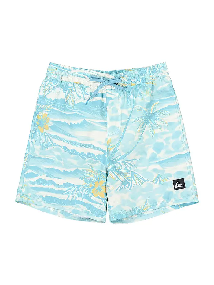 Quiksilver Pantaloncini da bagno da ragazzo Everyday Printed Volley 14 azzurro | 164-176
