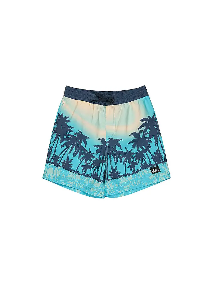 Quiksilver Pantaloncini da bagno da ragazzo Everyday Printed Volley 14 multicolore | 164-176
