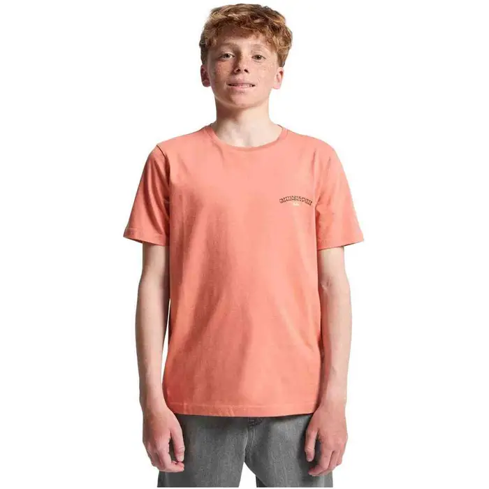 T-shirt Quiksilver EQBZT04964-MKT0 Arancio