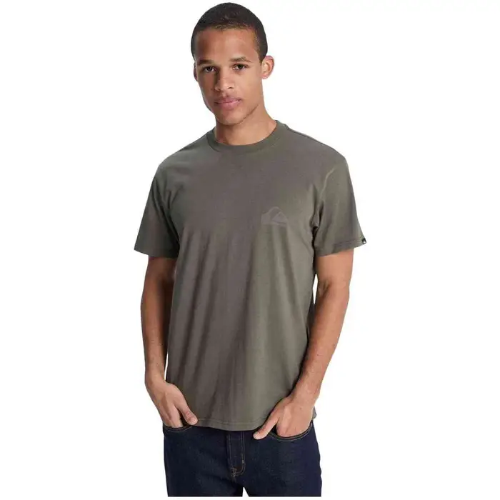 T-shirt Quiksilver EQYZT08181-CRE0 Grigio