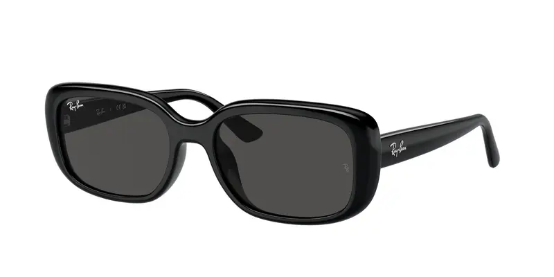 Ray - Ban Unisex RB4421D 667787 Occhiali da sole Acetato Nero Grigio Pillow Normale