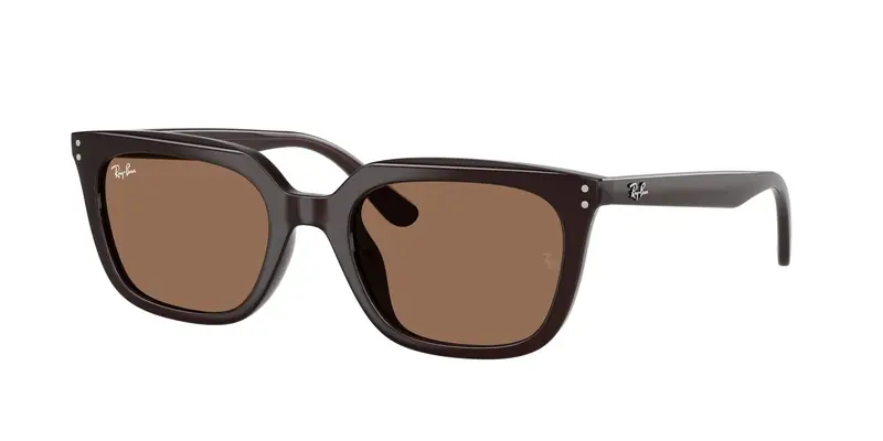 Ray - Ban Unisex RB4439D 623173 Occhiali da sole Acetato Marrone Marrone Squadrata Normale
