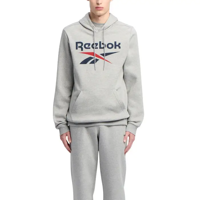 Felpa con cappuccio Reebok Identity Gris