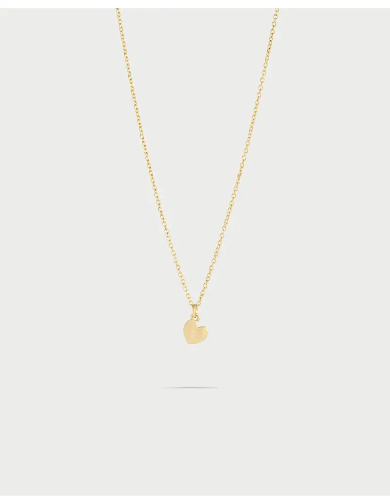 Rue Des Mille Girocollo Ciondolo Bombato Cuore I Sogni Son Desideri in argento 925 dorato GR-002 CUO AU