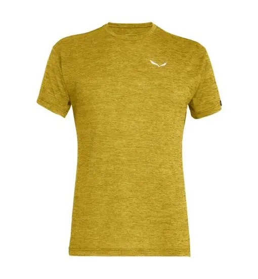 SALEWA T-shirt Uomo Verde 4343901