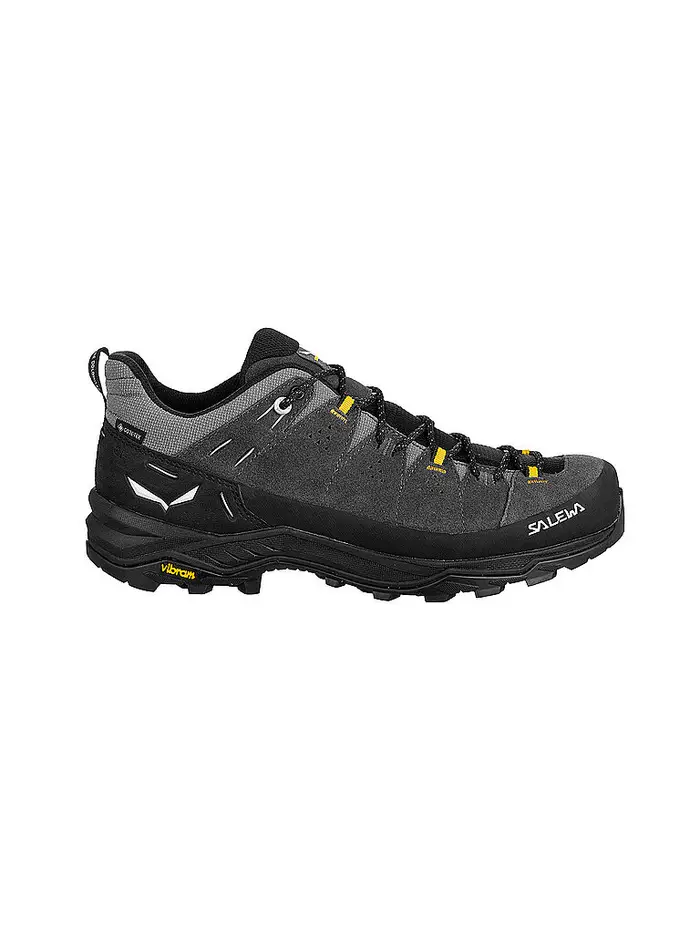 Scarpe da trekking da uomo Alp Trainer 2 GTX grigio | 48 1/2