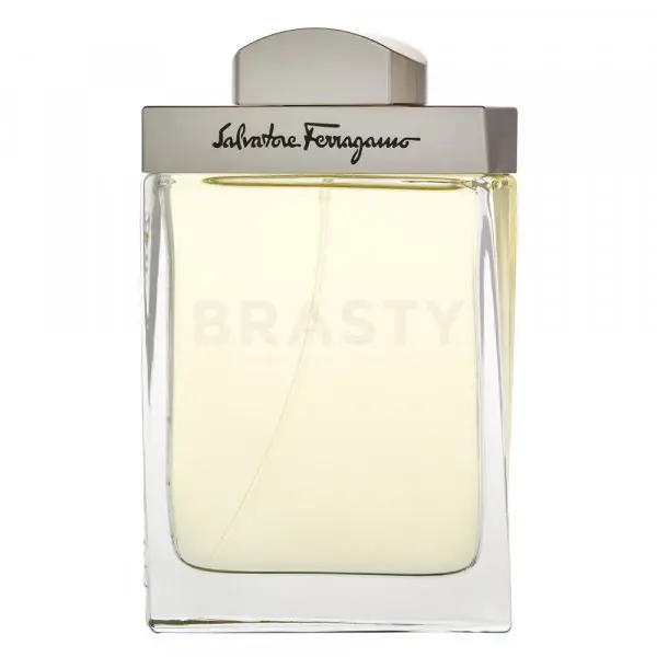 Salvatore ferragamo Pour Homme EDT M 100 ml
