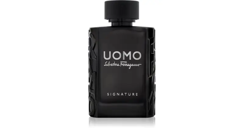 Salvatore Ferragamo Uomo Signature 100 ml