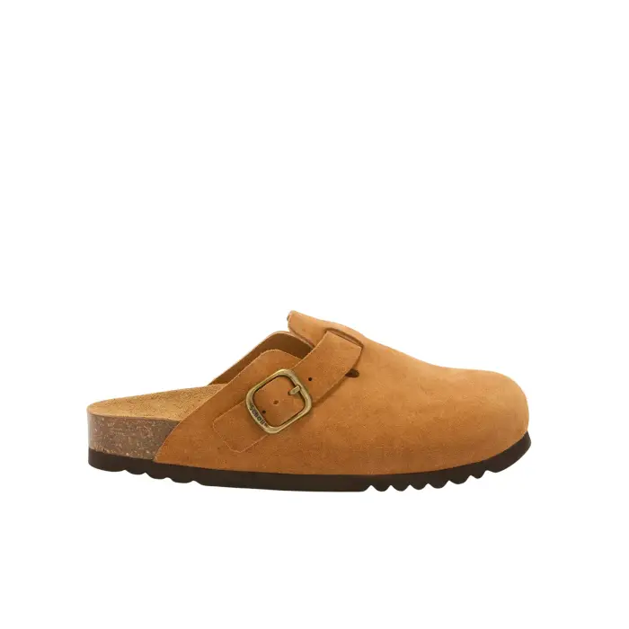 Sabot Scholl Fae