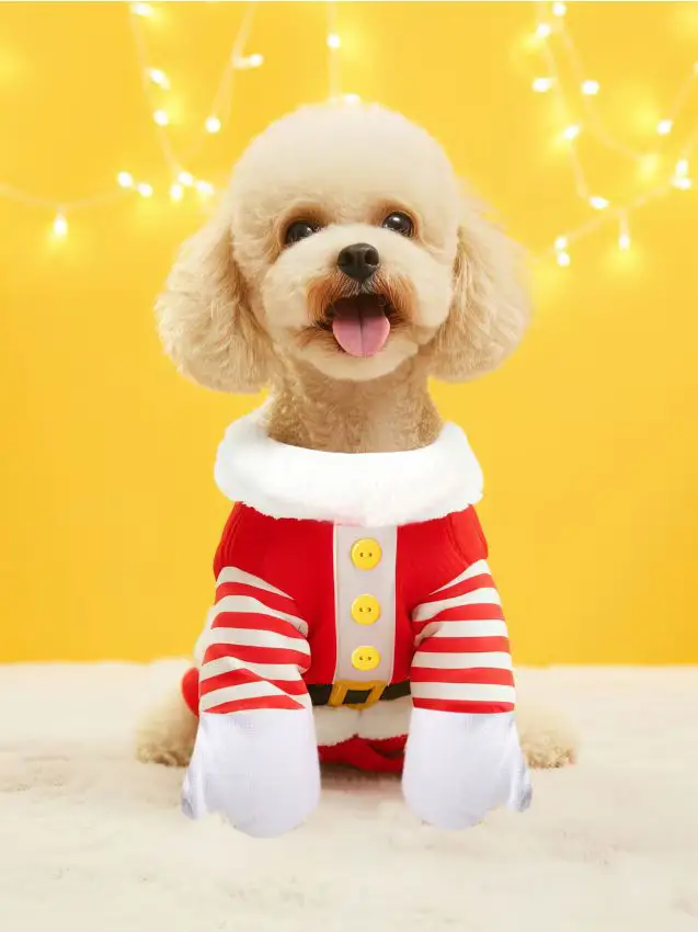 Sinsay Costume cane - rosso