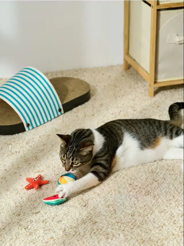 Sinsay Giocattolo per animali 3 pack - multicolor