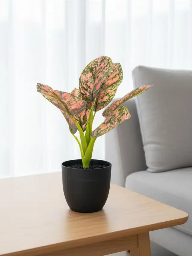 Sinsay Pianta decorativa artificiale in vaso con foglie colorate - multicolor