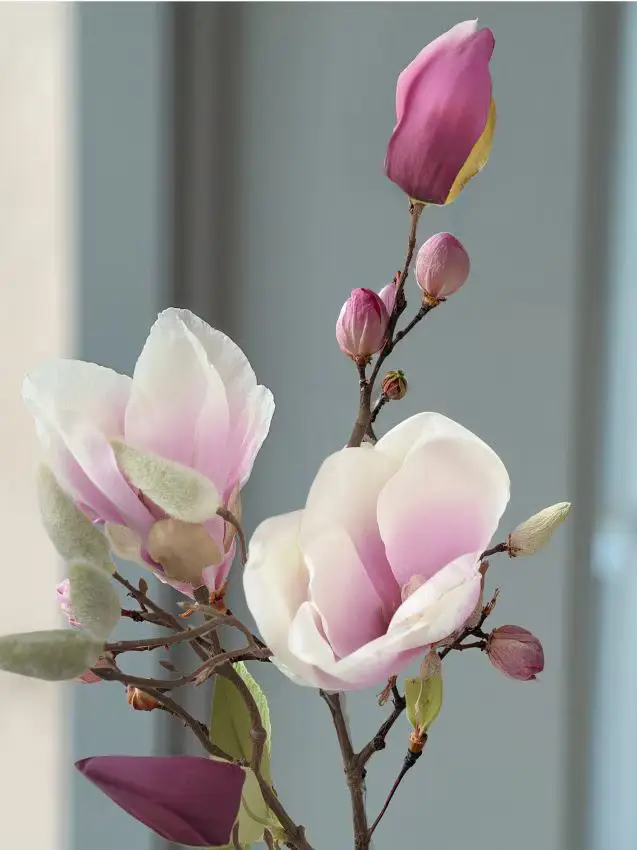 Pianta ornamentale artificiale - rosa