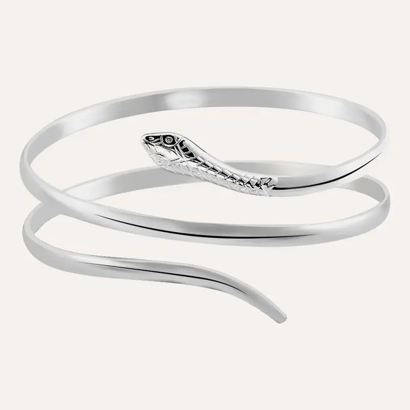 Stroili Bangle Silver Collection Argento Rodiato