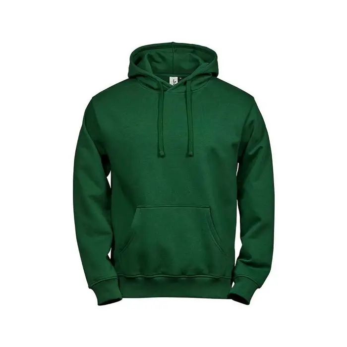 Felpe con cappuccio Tee Jays PC5227 Verde
