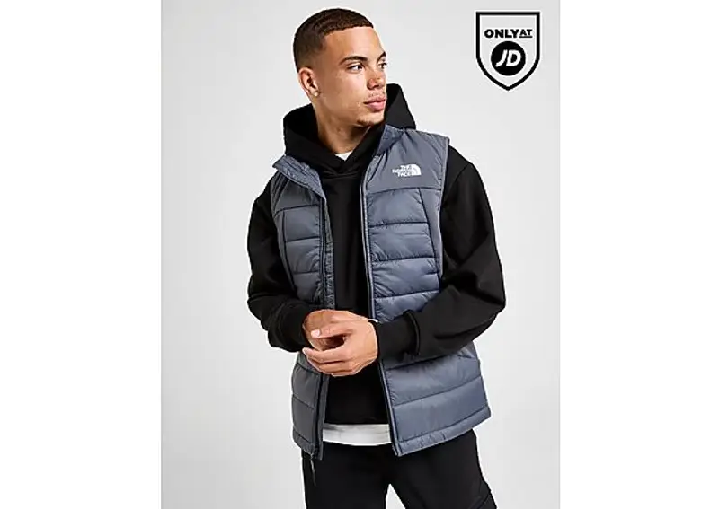 The North Face Gilet Grigio 2038744