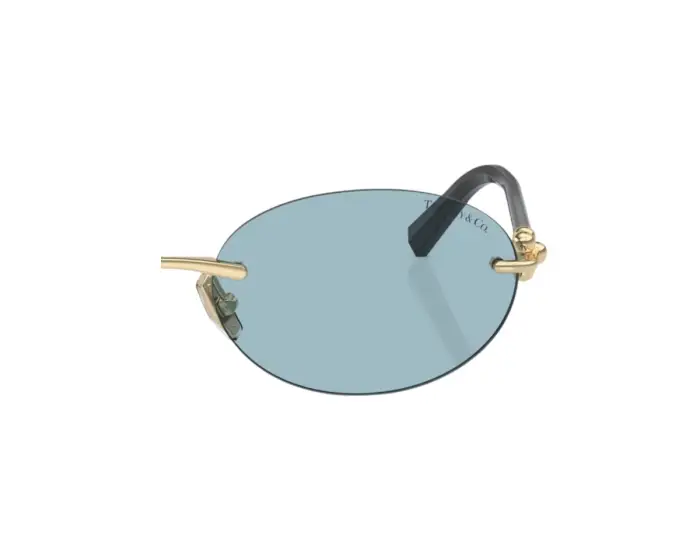 Tiffany Coppia di Lenti di ricambio TF3104D Lenti di ricambio Grigio Normale Sfumato