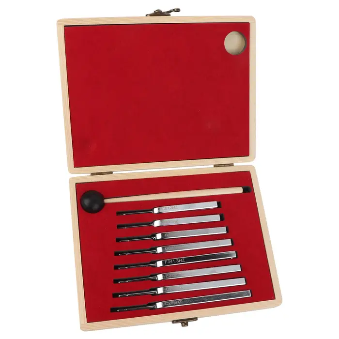 Strumenti di accordatura in acciaio, set di strumenti per la terapia della salute con vibrazione di accordatura