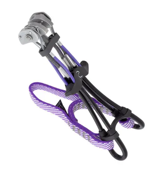 Totem Cam - friends Purple