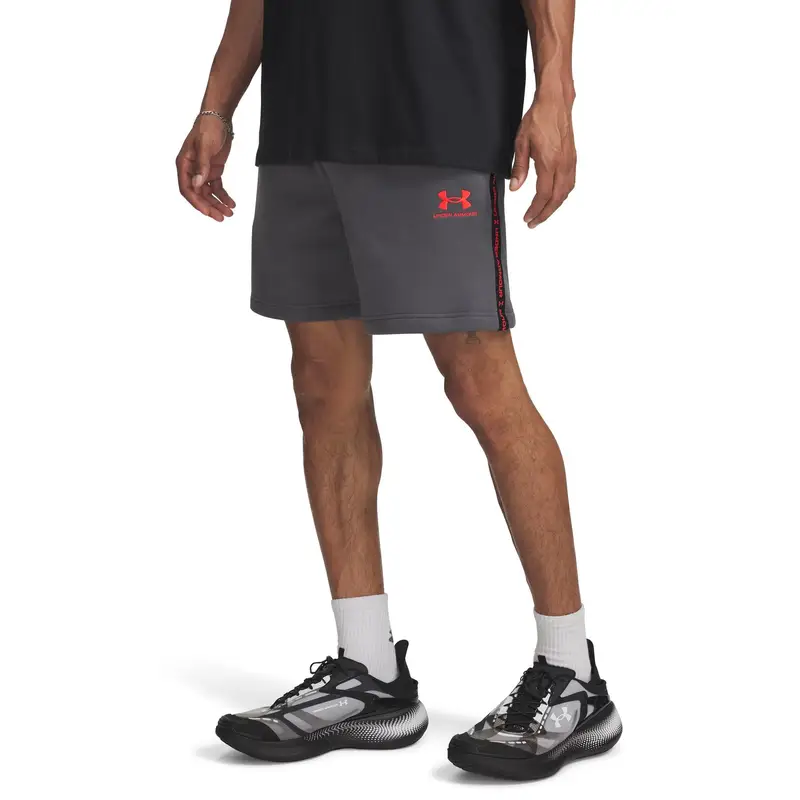 Under Armour Shorts Icon Gris