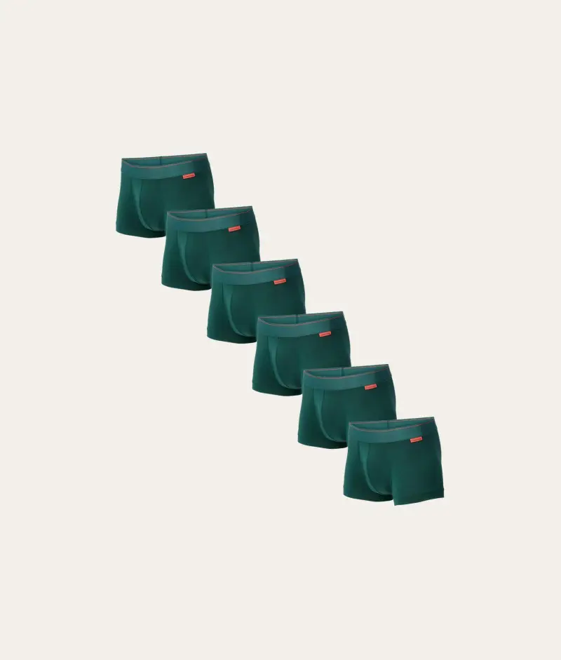 Undiemeister Confezione da 6 Trunk Verdi Misty Forest