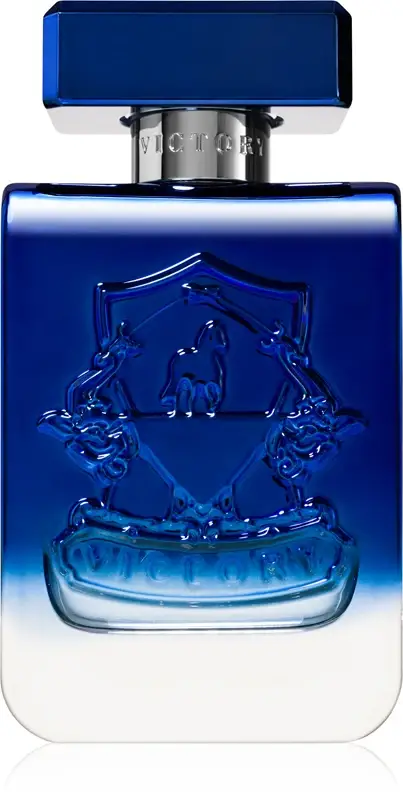 Victory Radiant Eau de Parfum unisex 100 ml
