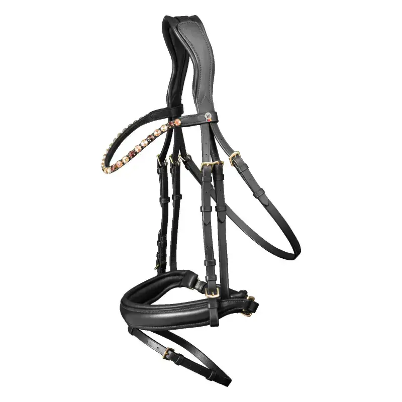 Waldhausen Briglia combinata da equitazione con nasello X-Line Goldheart