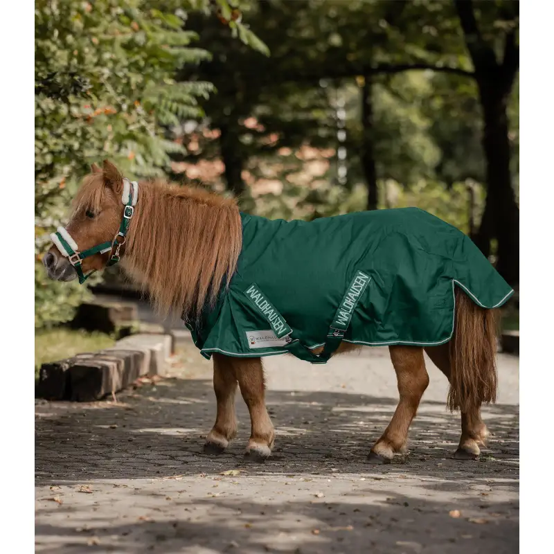 Waldhausen Coperta da paddock per cavalli Shetty Light