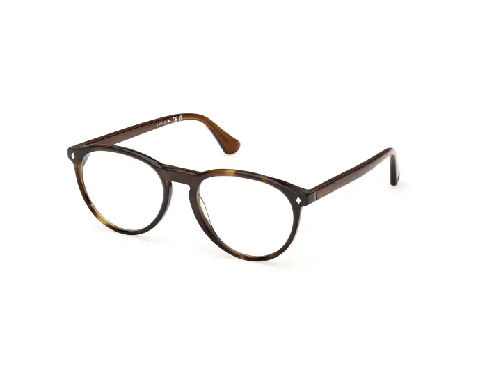 Web Uomo WE5474 056 Montature da vista Acetato Havana Rotonda Normale