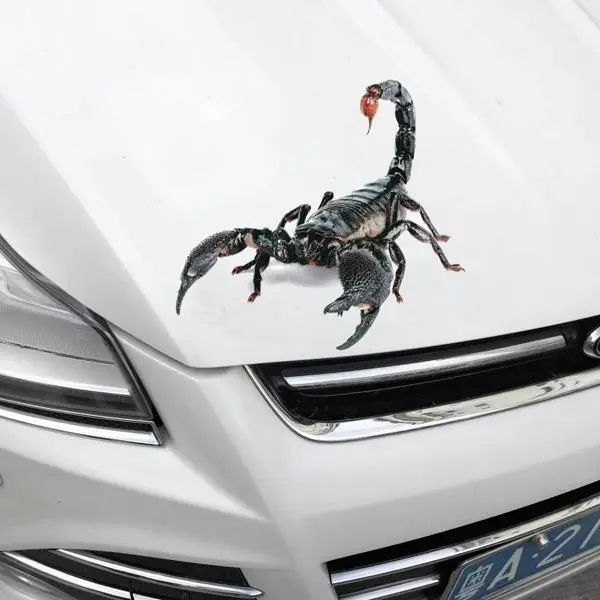 Weeten Auto Parts Styling Lovely Cool Spider 3D adesivi per auto Cartoon personalità creativa decorazione decalcomanie D nero