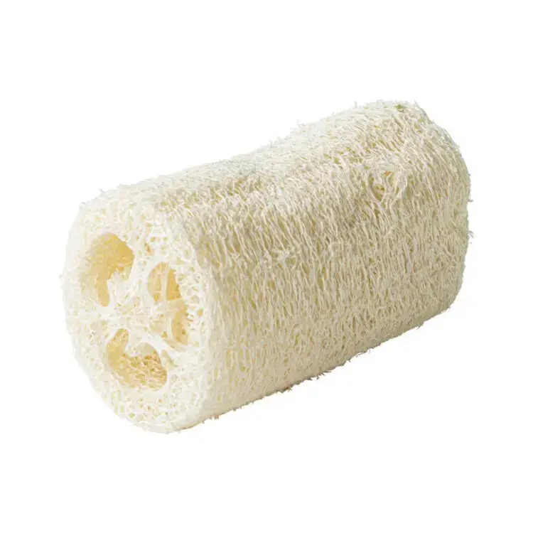 Wellmark spugna abrasiva