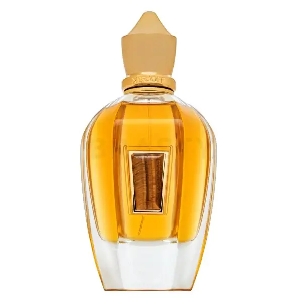 Xerjoff XJ 17/17 Pikovaya Dama eau de parfum unisex 100 ml