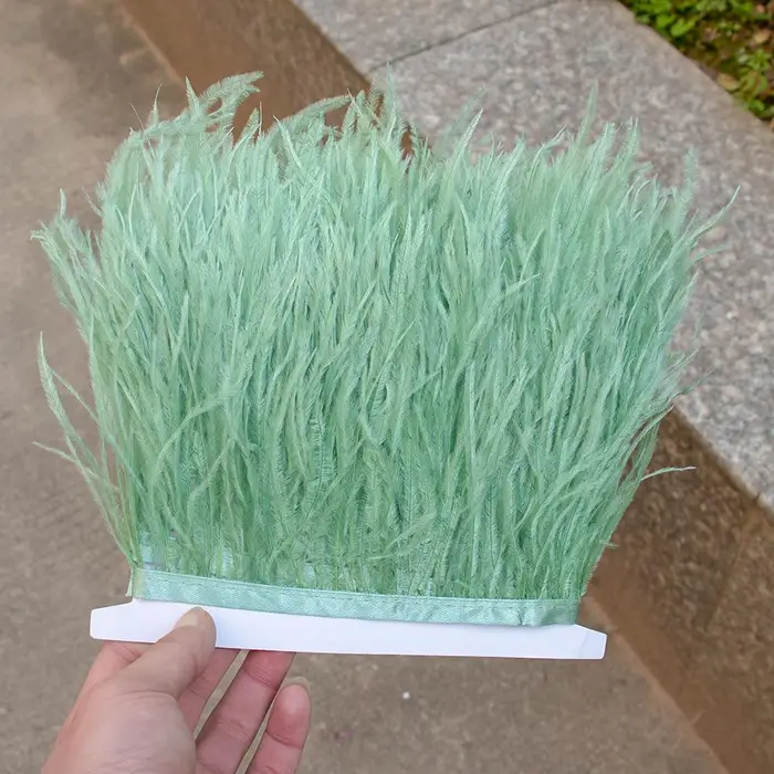 Nastro Decorativo con Piume di Struzzo 8-10CM Beige Frangia Decorazione Nastro per Abito da Sposa Abbigliamento Accessori Piume Naturali 1 Metro